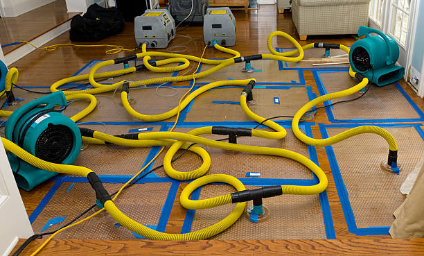 Professional Emergency Water Removal technician working in Calais, ME